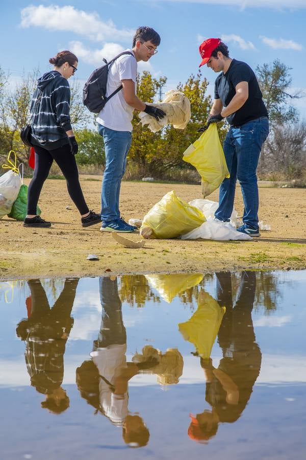 Recogida de residuos en la ribera del Guadalquivir de Sevilla, en imágenes