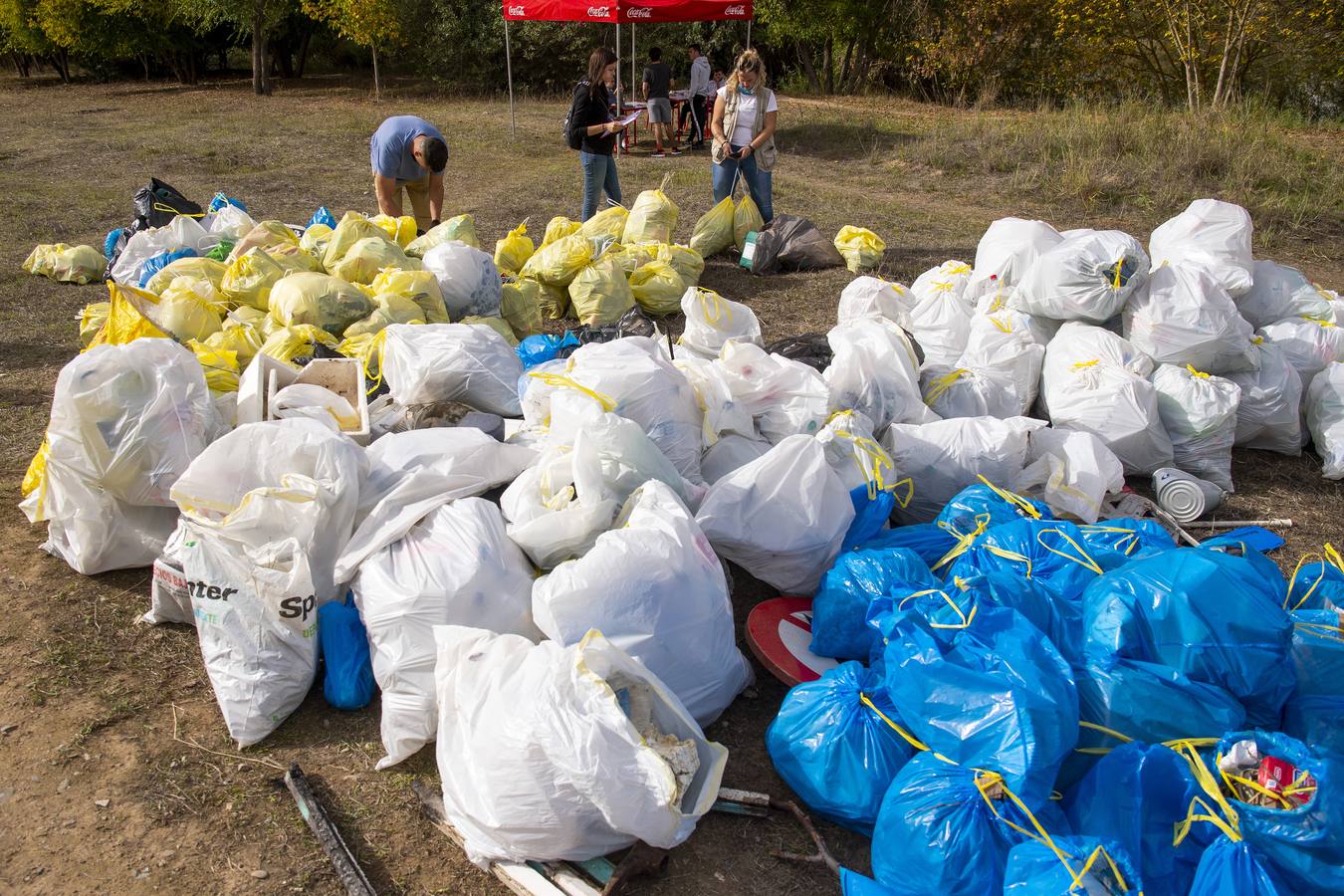 Recogida de residuos en la ribera del Guadalquivir de Sevilla, en imágenes