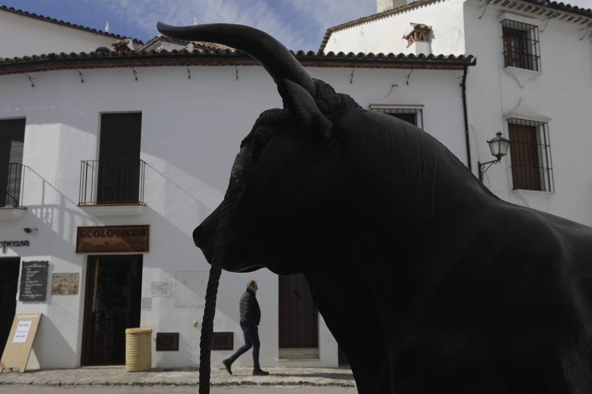 Fotos: Grazalema, en imágenes