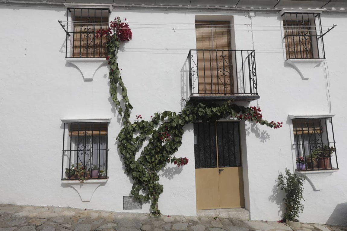 Fotos: Grazalema, en imágenes