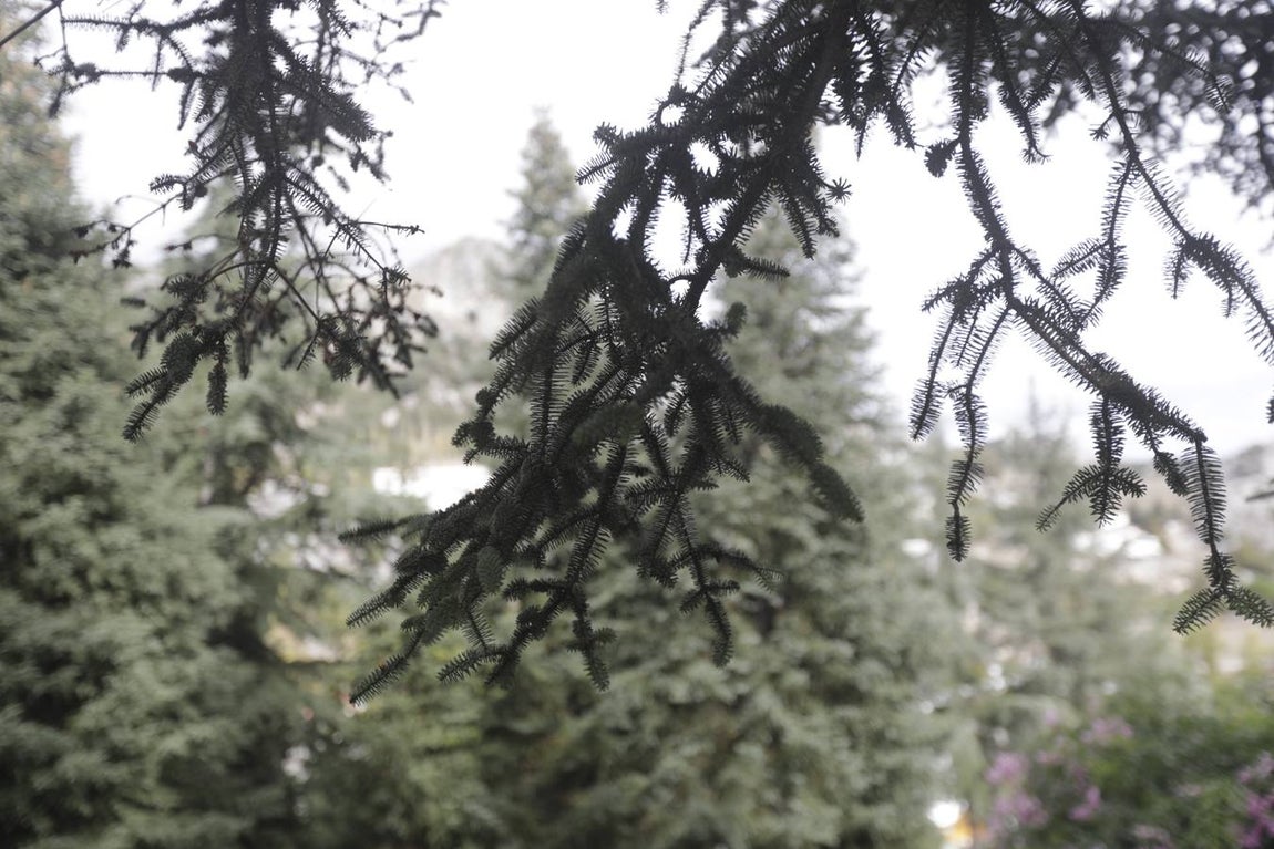 Fotos: Grazalema, en imágenes