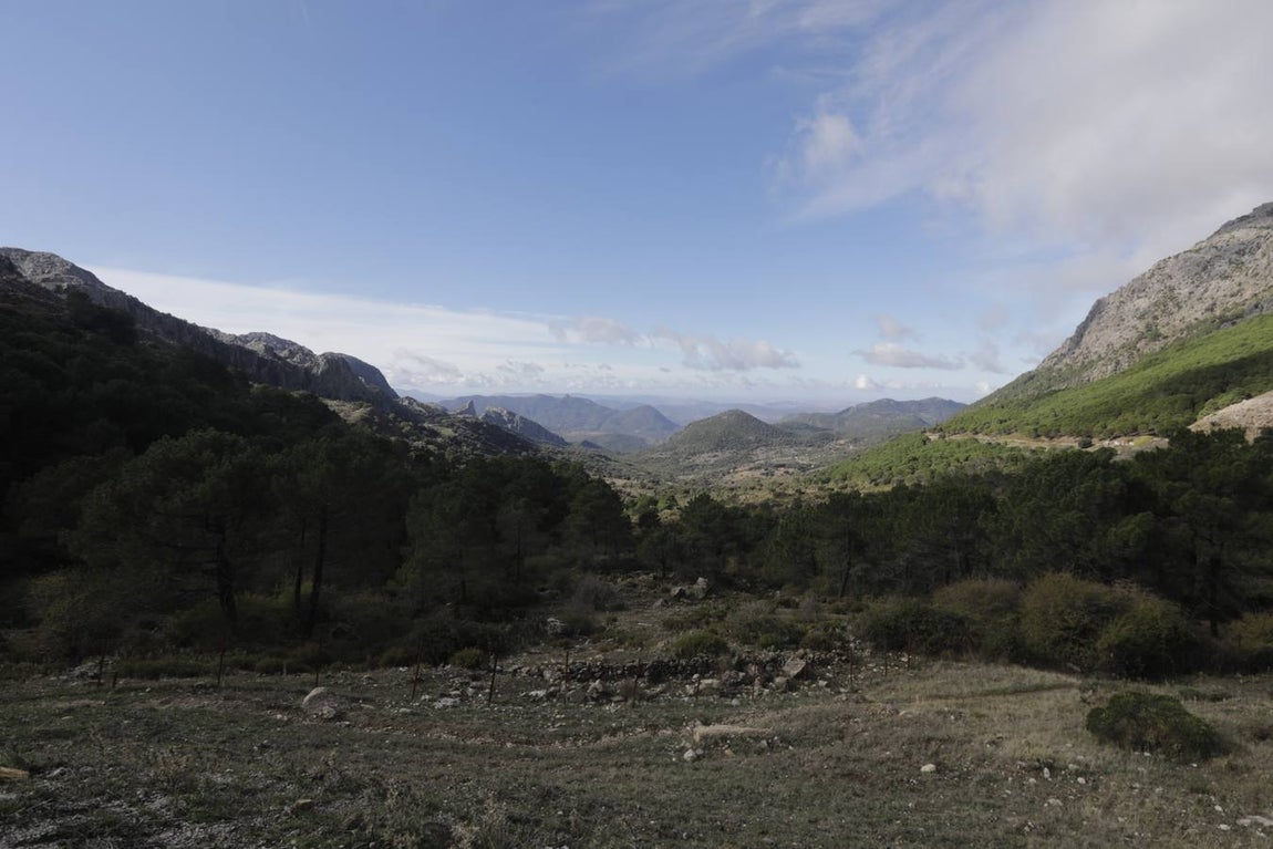 Fotos: Grazalema, en imágenes