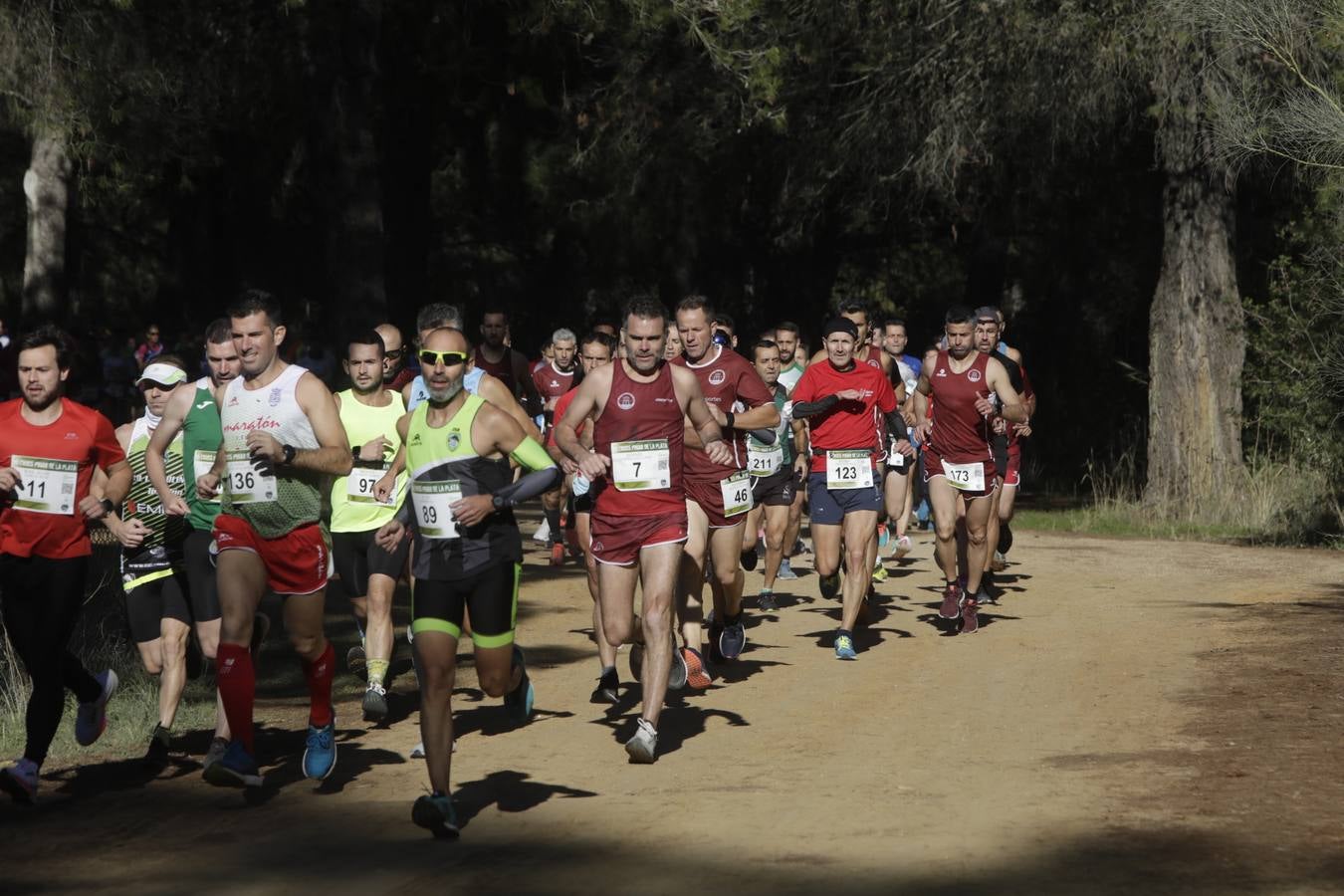 FOTOS: El VII Cross Pinar de La Plata de Arcos, en imágenes