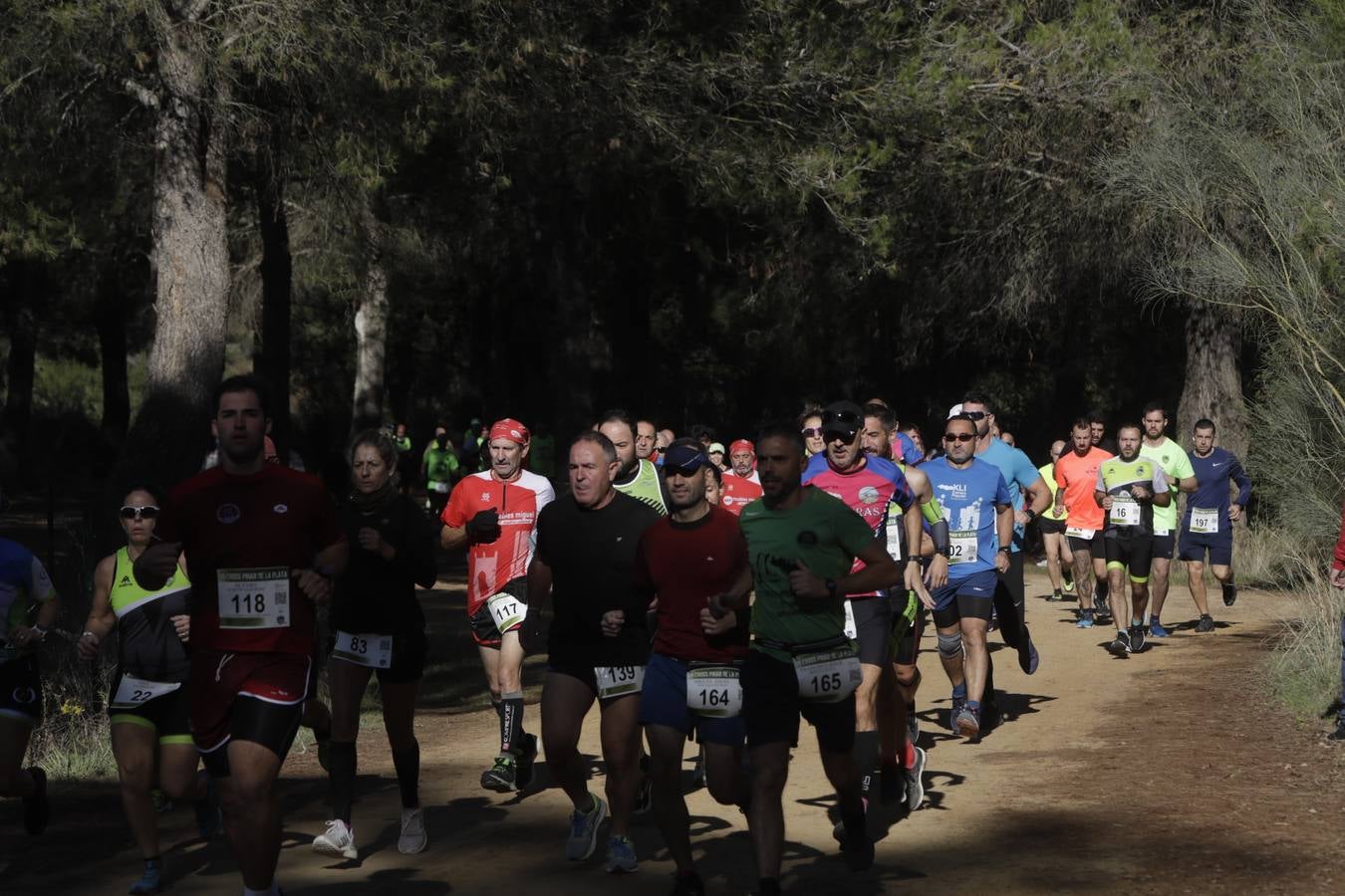 FOTOS: El VII Cross Pinar de La Plata de Arcos, en imágenes