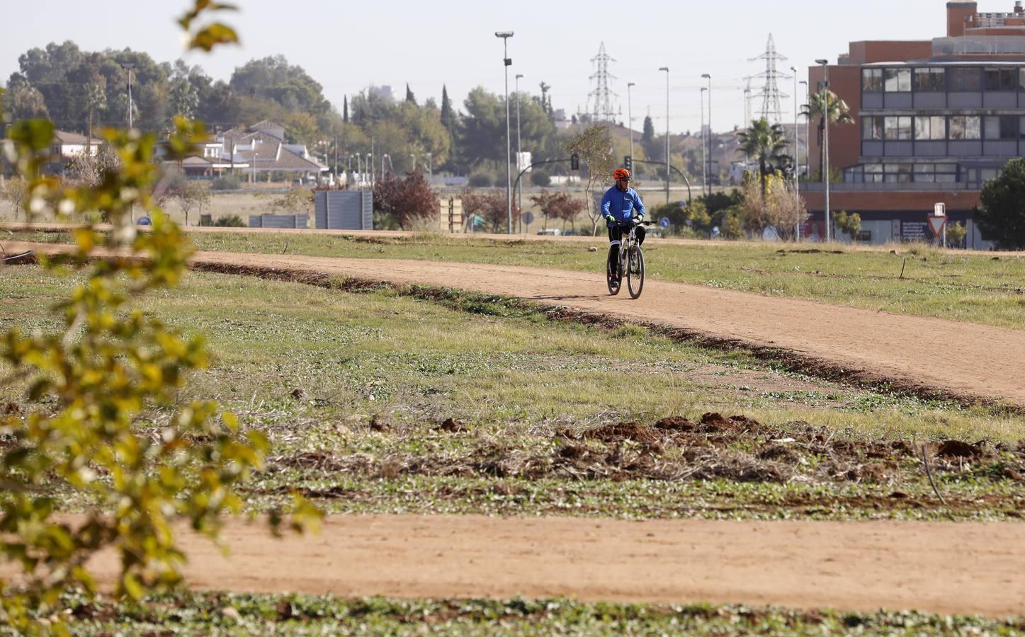 Los nuevos parques de Córdoba, en imágenes