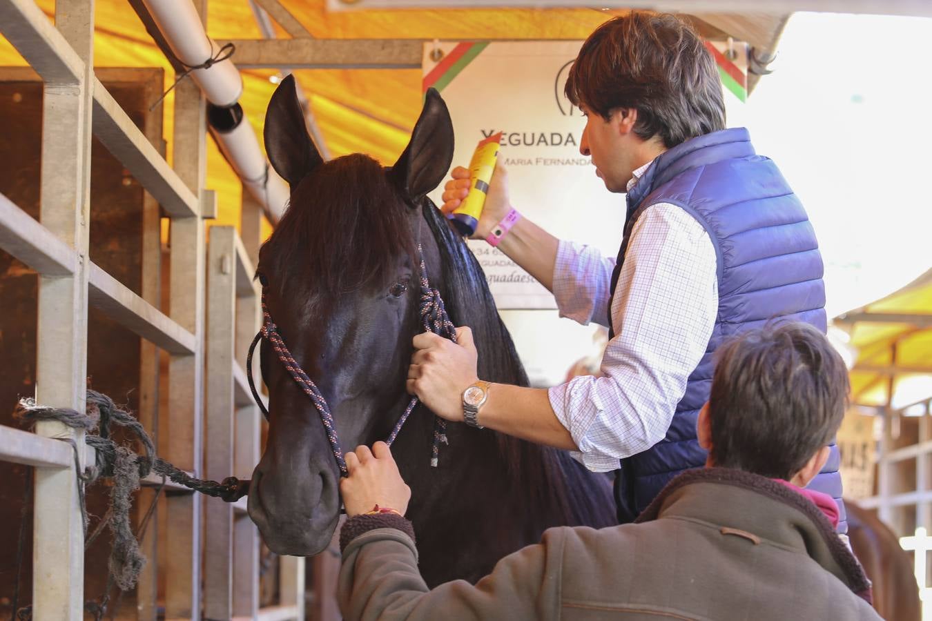 En imágenes, ambiente de la primera jornada del Sicab en Sevilla