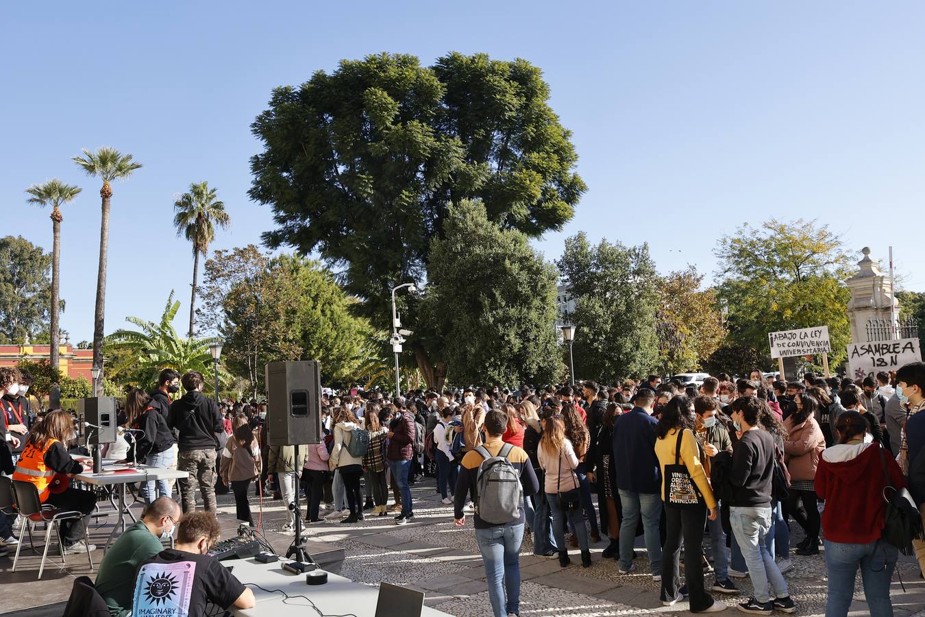 Movilización de los estudiantes de la Universidad de Sevilla, en imágenes