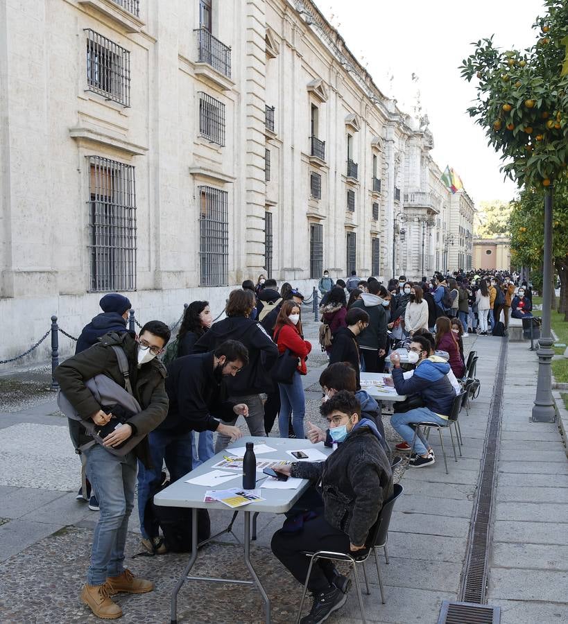 Movilización de los estudiantes de la Universidad de Sevilla, en imágenes