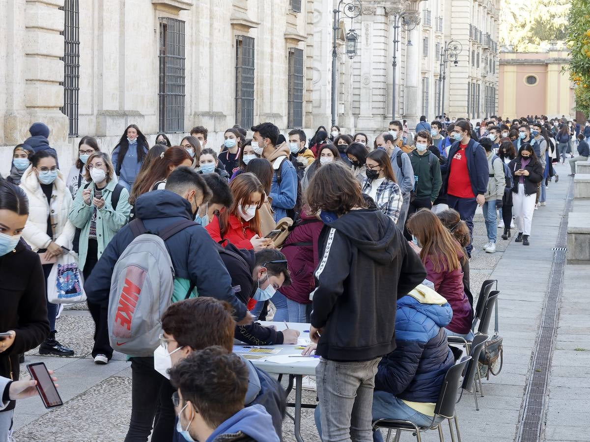 Movilización de los estudiantes de la Universidad de Sevilla, en imágenes