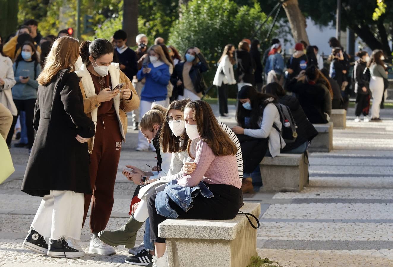 Movilización de los estudiantes de la Universidad de Sevilla, en imágenes