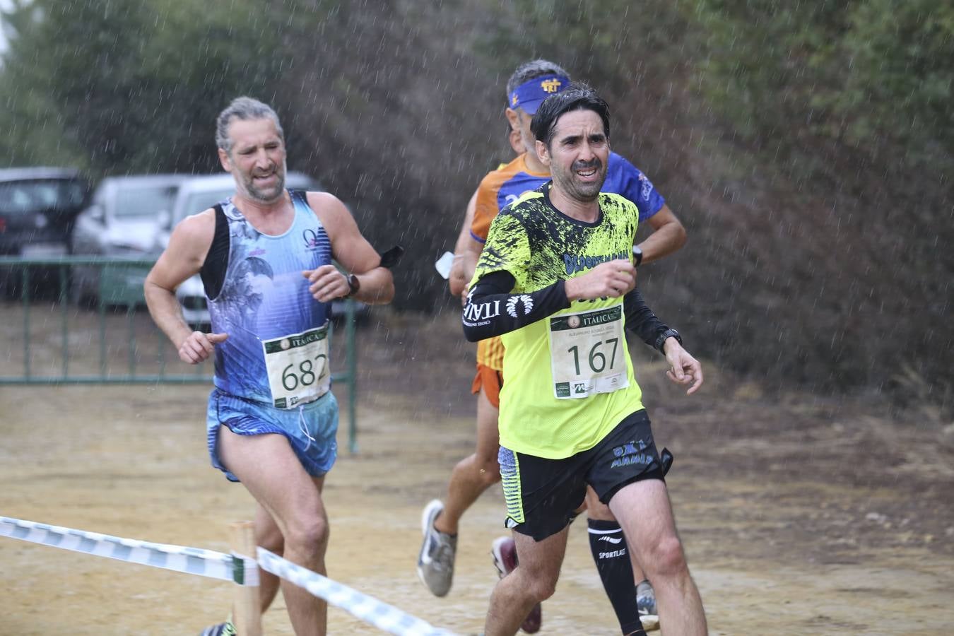 Celebración de las pruebas populares del Cross de Itálica