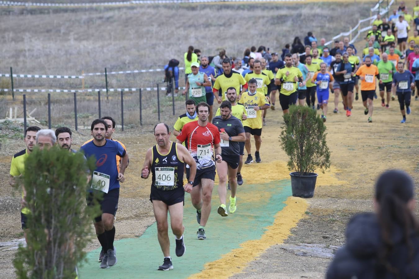 Celebración de las pruebas populares del Cross de Itálica