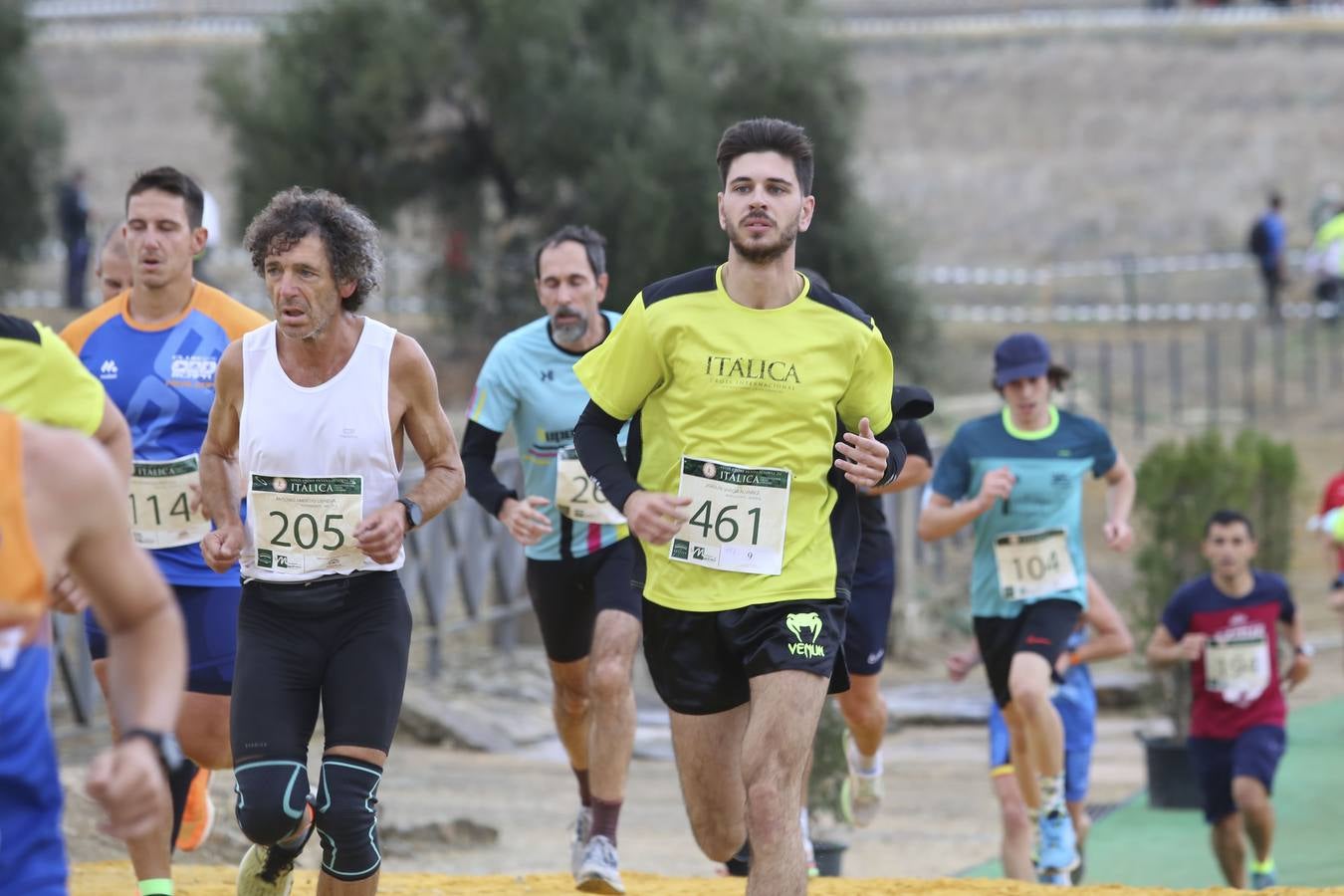 Celebración de las pruebas populares del Cross de Itálica