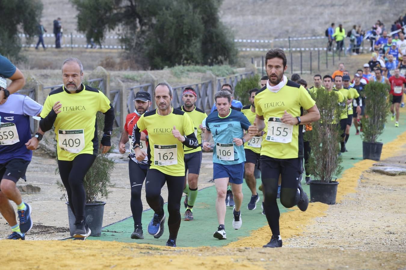 Celebración de las pruebas populares del Cross de Itálica