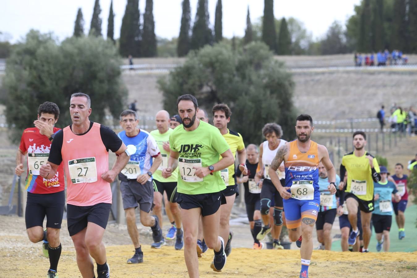 Celebración de las pruebas populares del Cross de Itálica