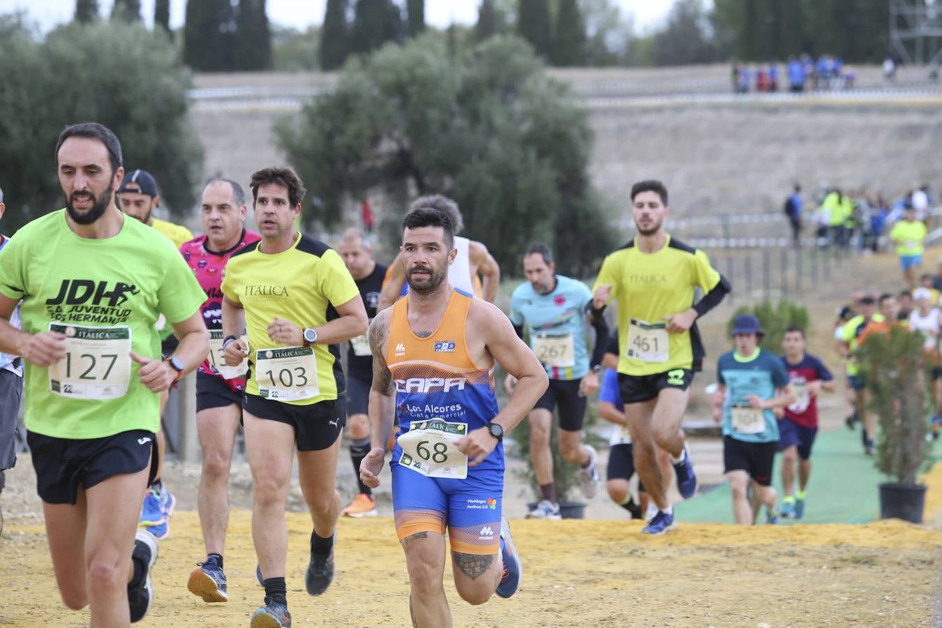 Celebración de las pruebas populares del Cross de Itálica