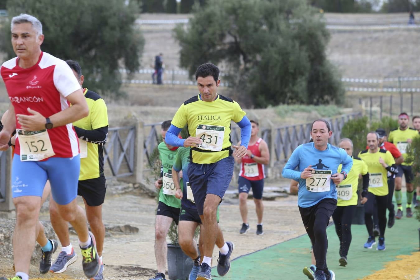 Celebración de las pruebas populares del Cross de Itálica