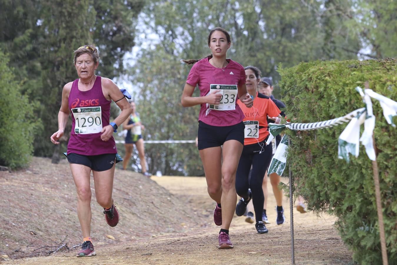 Celebración de las pruebas populares del Cross de Itálica