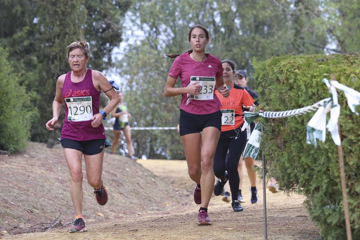 Celebración de las pruebas populares del Cross de Itálica