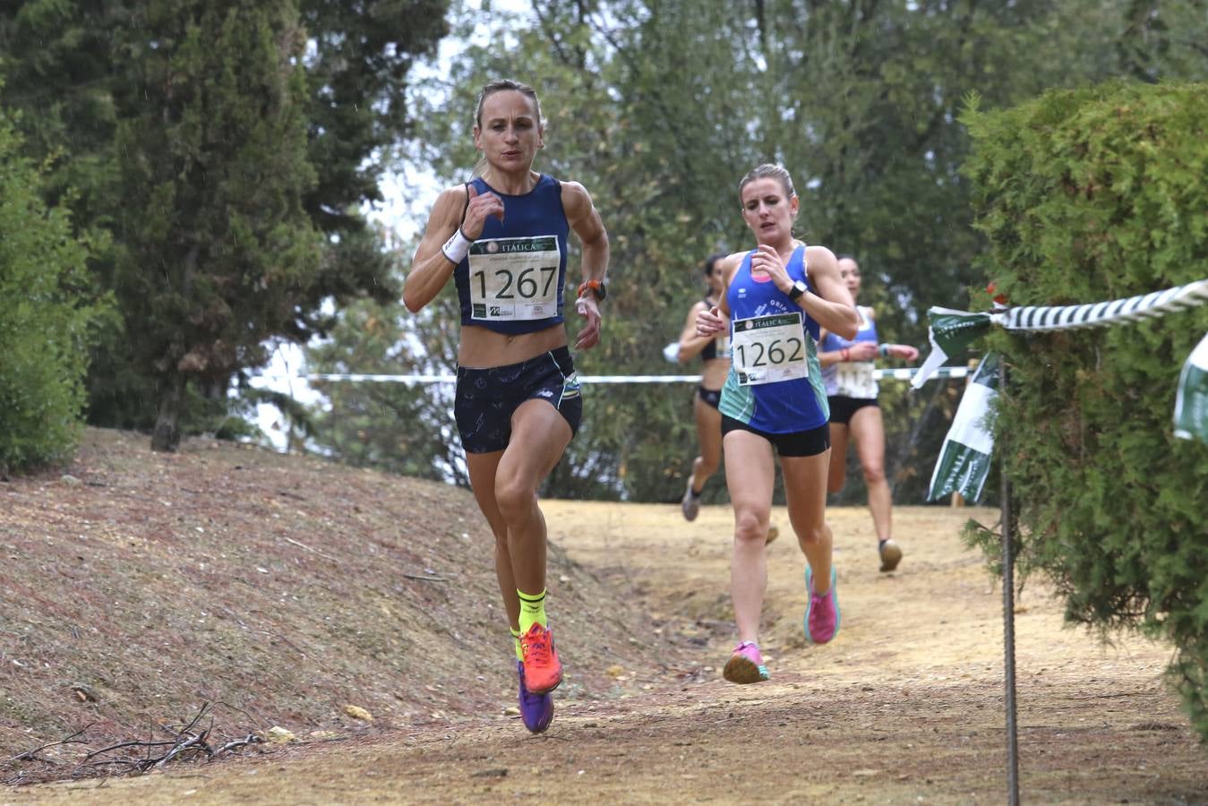 Celebración de las pruebas populares del Cross de Itálica