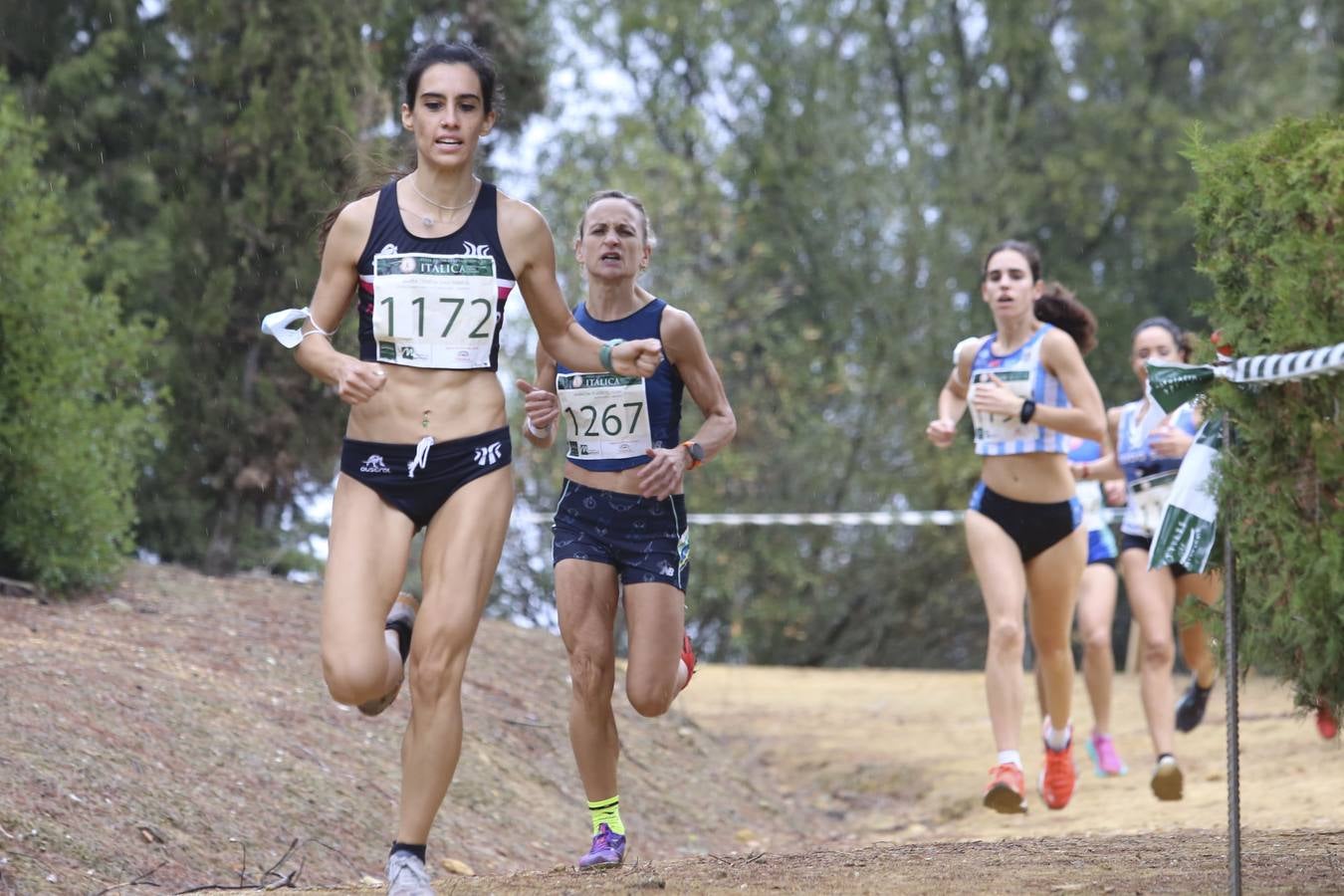 Celebración de las pruebas populares del Cross de Itálica