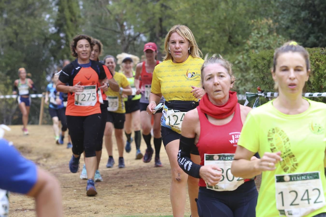 Celebración de las pruebas populares del Cross de Itálica