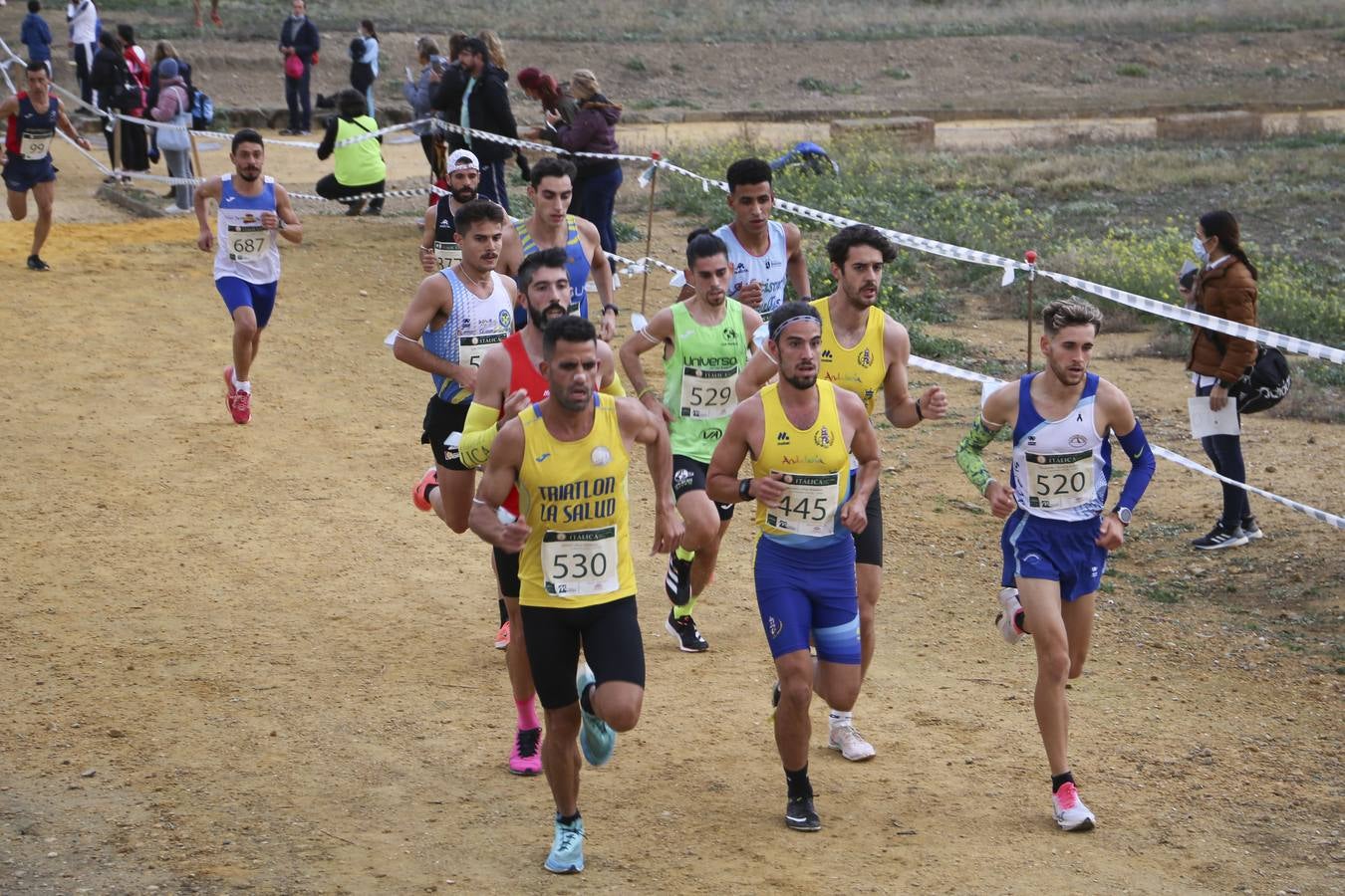 Celebración de las pruebas populares del Cross de Itálica