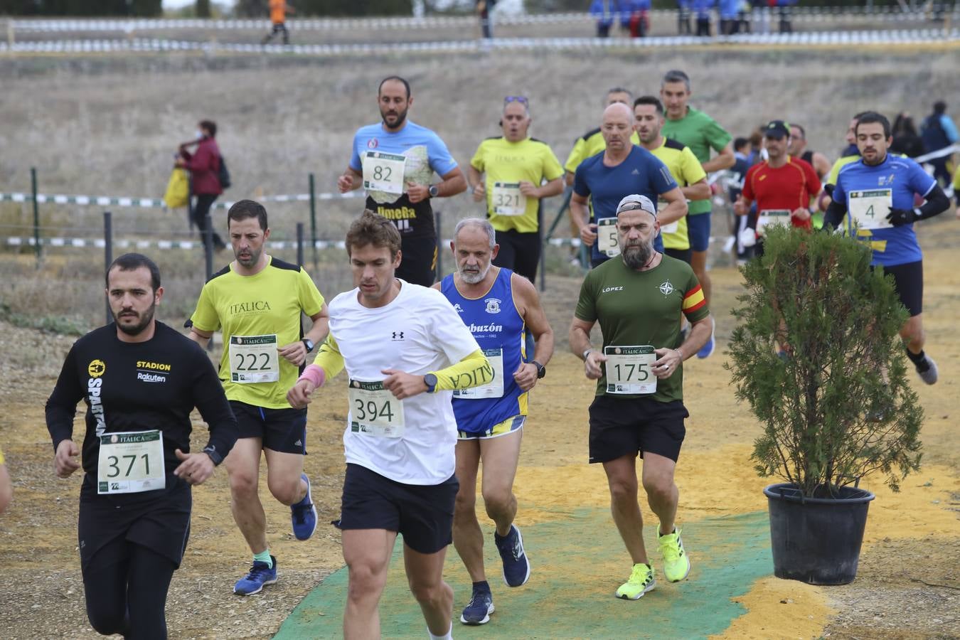 Celebración de las pruebas populares del Cross de Itálica