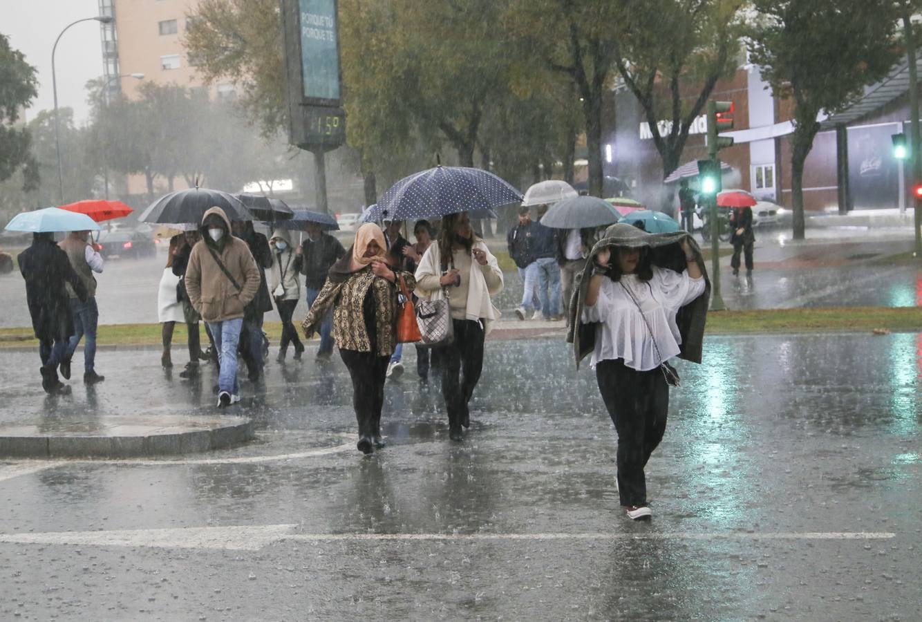 Intensa tormenta que ha descargado en Sevilla a partir de las cuatro de la tarde