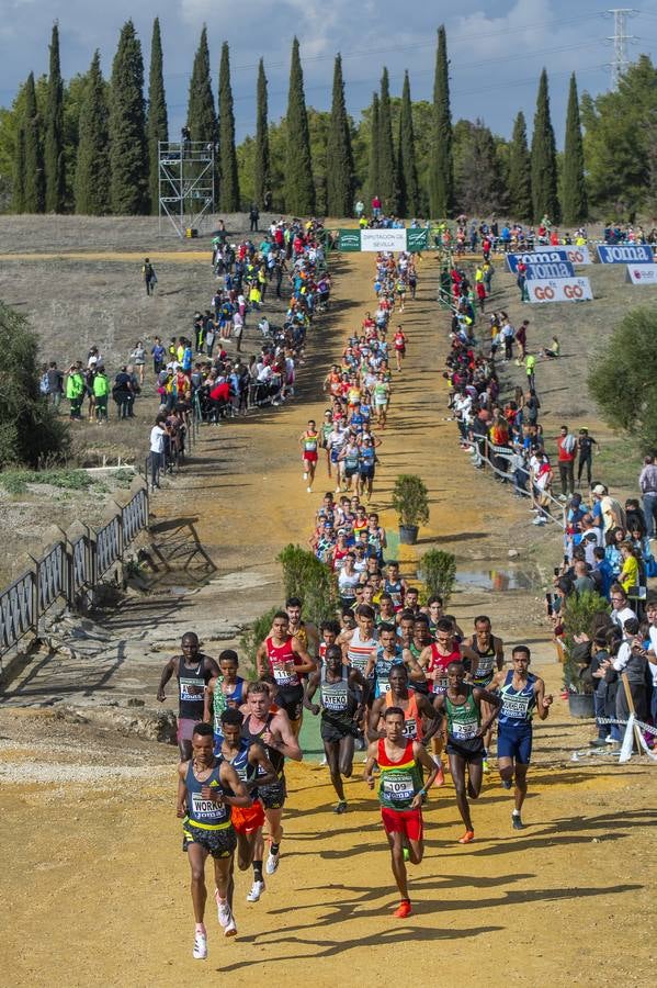 XXXIX edición del Cross Internacional de Itálica