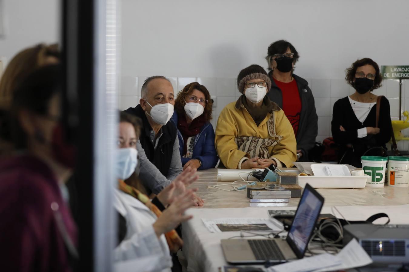 Así trabajan los restauradores del Museo de Bellas Artes de Córdoba, en imágenes