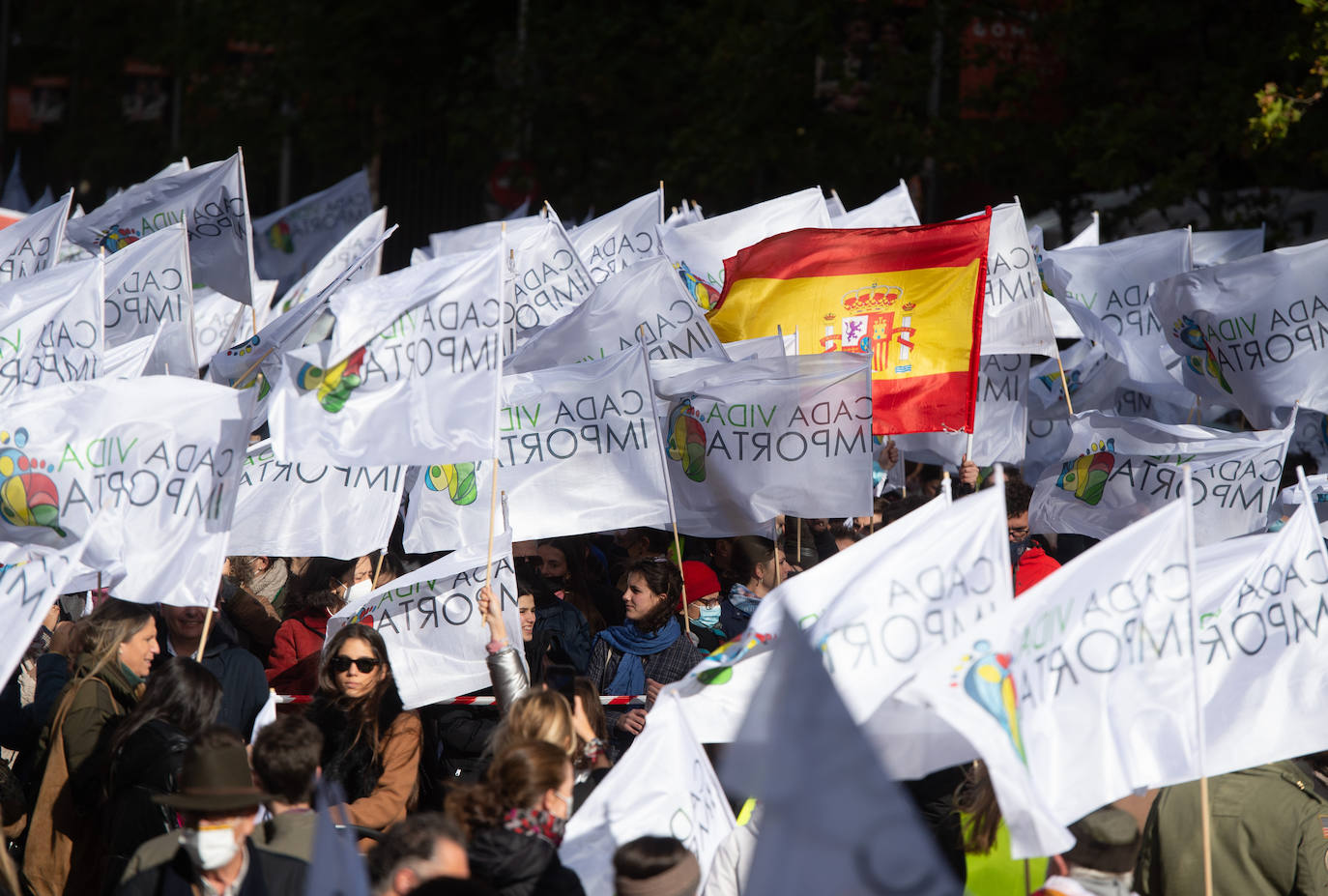 Asociaciones provida se manifiestan en contra de las «imposiciones ideológicas» del Gobierno al derecho a la vida. 