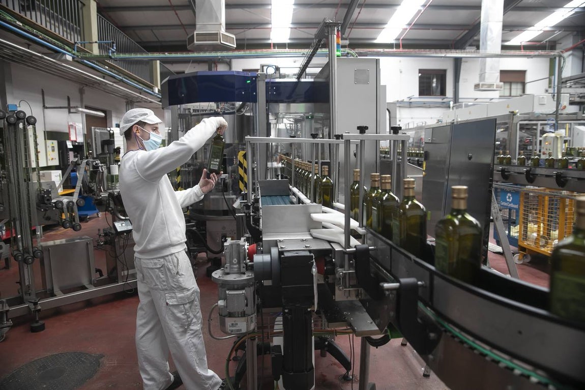 En imágenes, la planta de Migasa en Córdoba