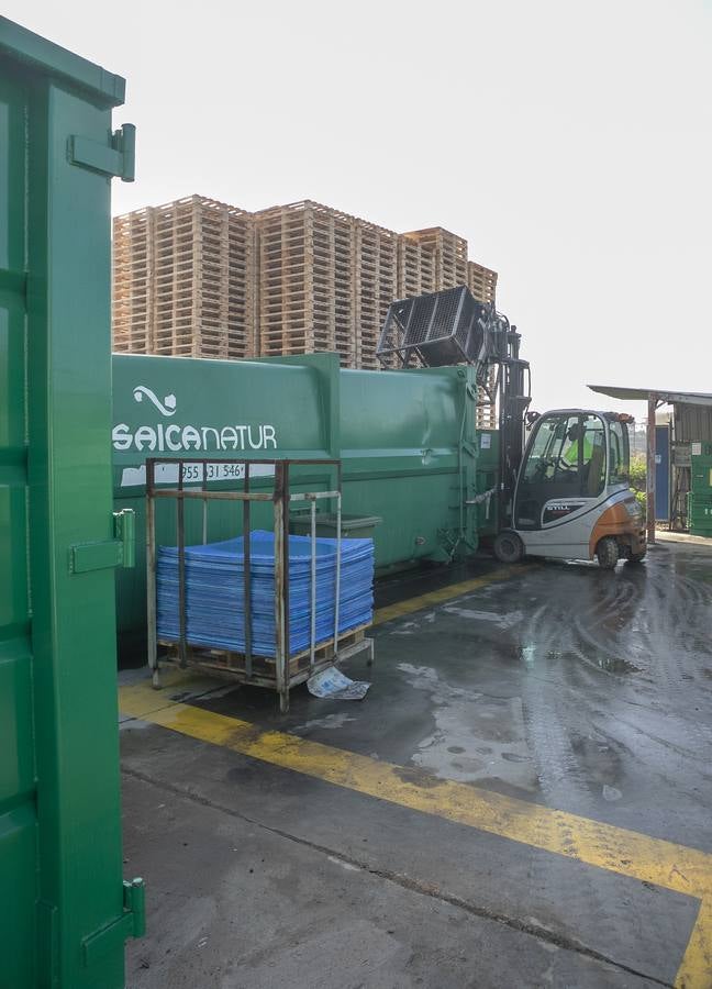 En imágenes, la planta de Migasa en Córdoba