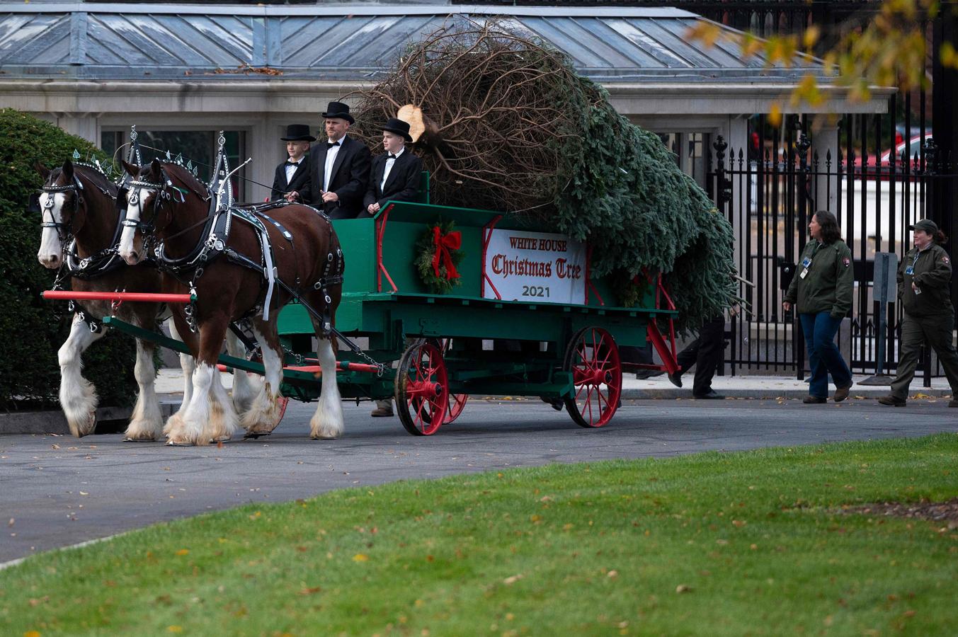 La Navidad llega a la Casa Blanca, en imágenes