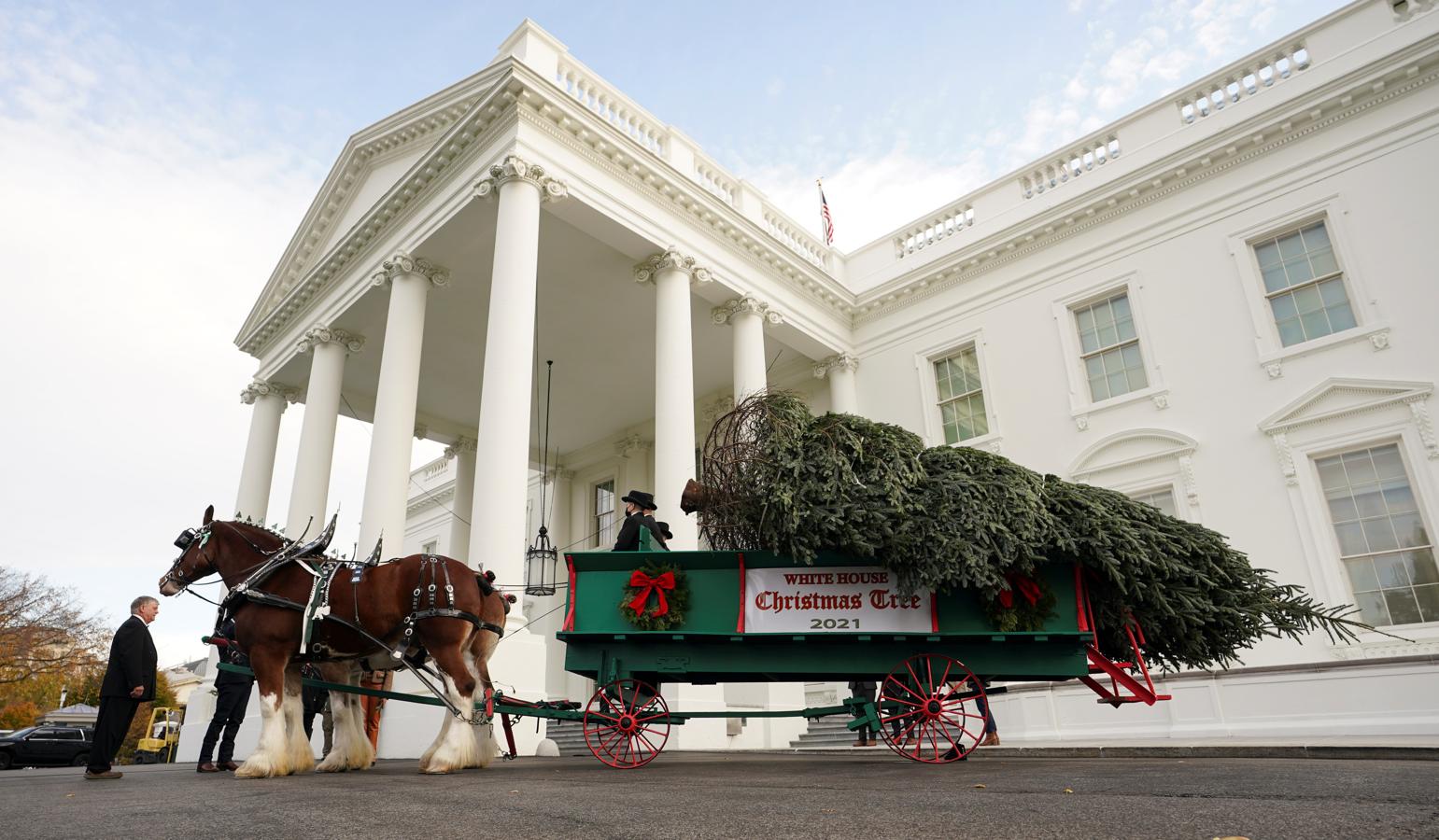 La Navidad llega a la Casa Blanca, en imágenes