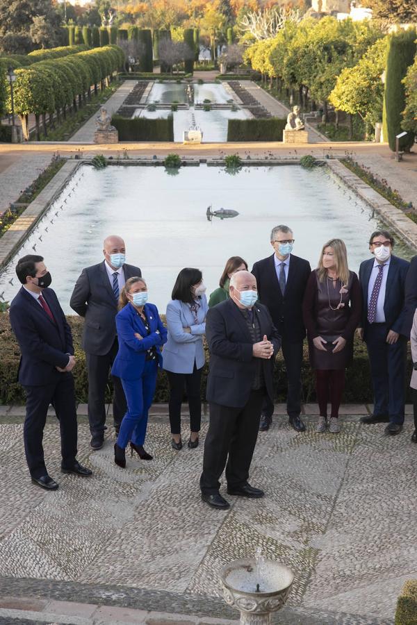 El pleno del Consejo de Salud en Córdoba, en imágenes