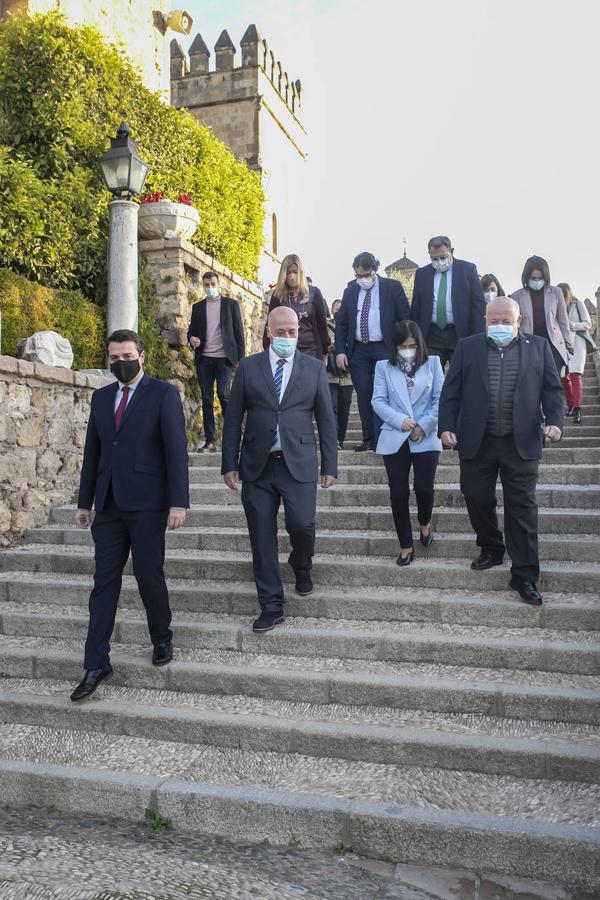 El pleno del Consejo de Salud en Córdoba, en imágenes