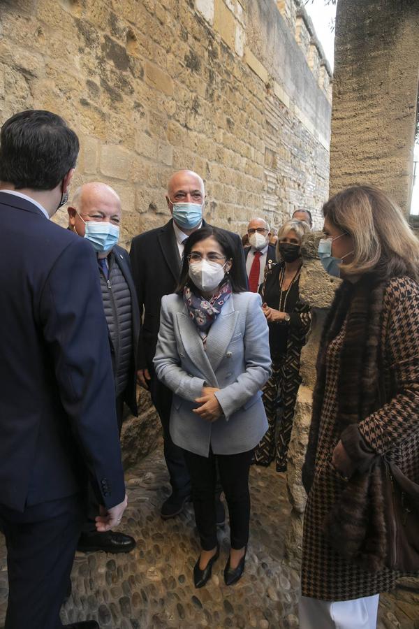 El pleno del Consejo de Salud en Córdoba, en imágenes