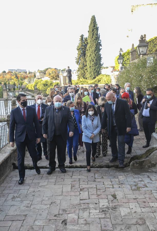 El pleno del Consejo de Salud en Córdoba, en imágenes