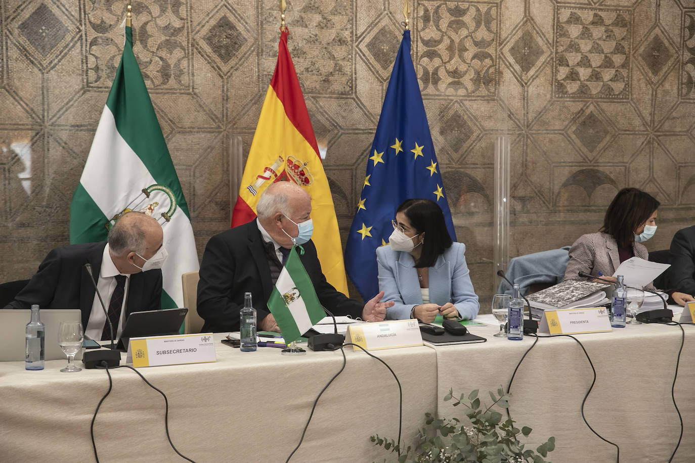 El pleno del Consejo de Salud en Córdoba, en imágenes