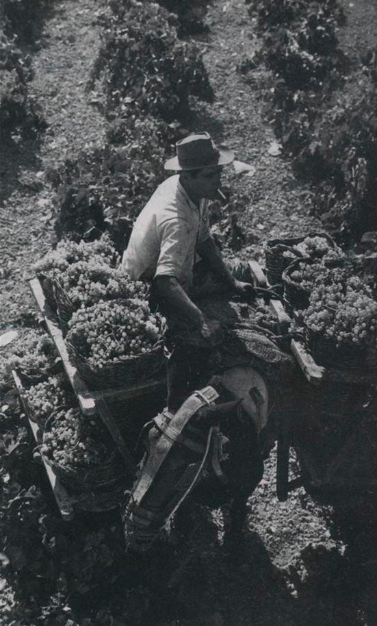 La bicentenaria historia de Bodegas Barbadillo