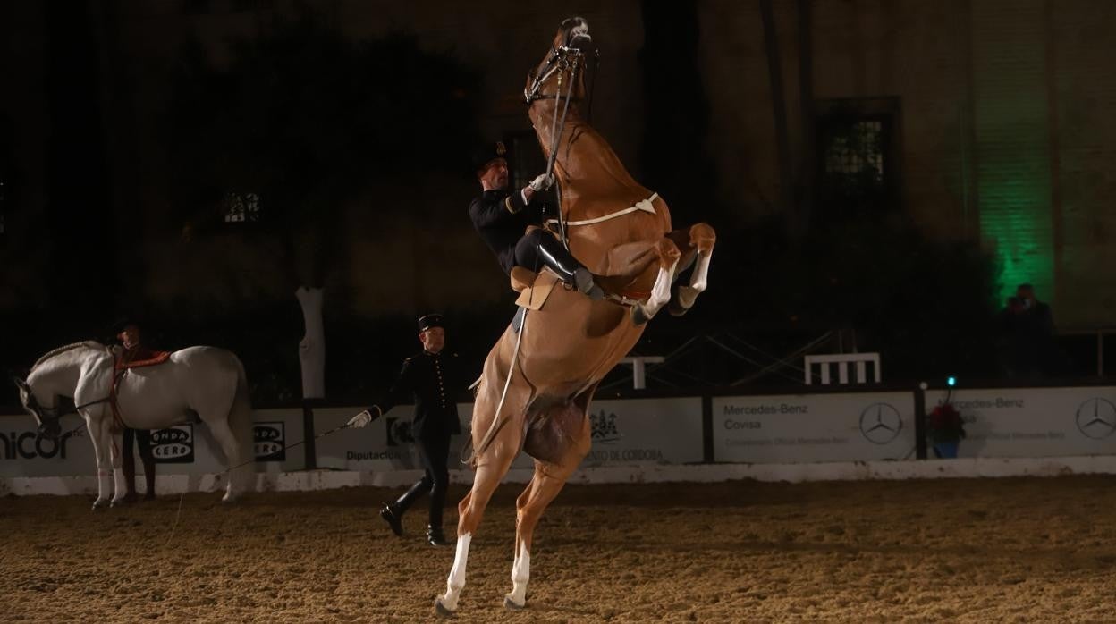 El espectáculo de Cadre Noir en Caballerizas Reales, en imágenes