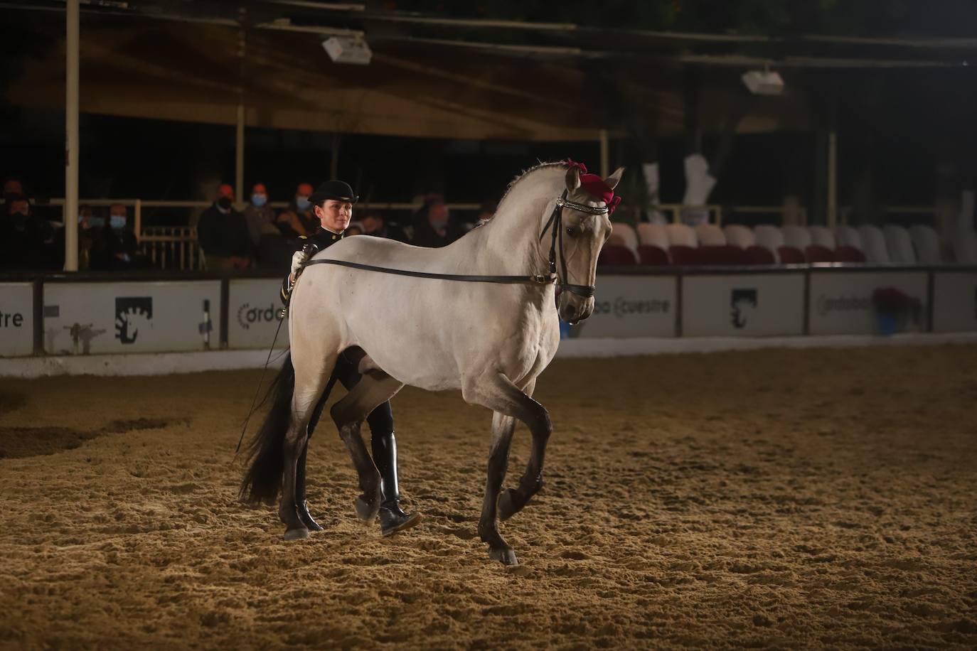 El espectáculo de Cadre Noir en Caballerizas Reales, en imágenes