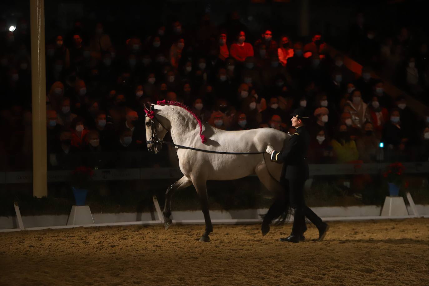 El espectáculo de Cadre Noir en Caballerizas Reales, en imágenes