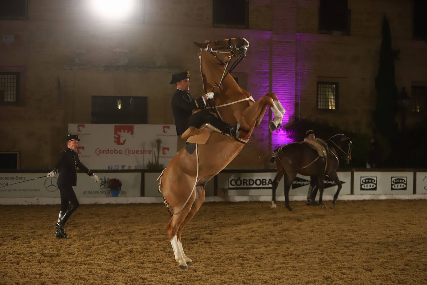 El espectáculo de Cadre Noir en Caballerizas Reales, en imágenes