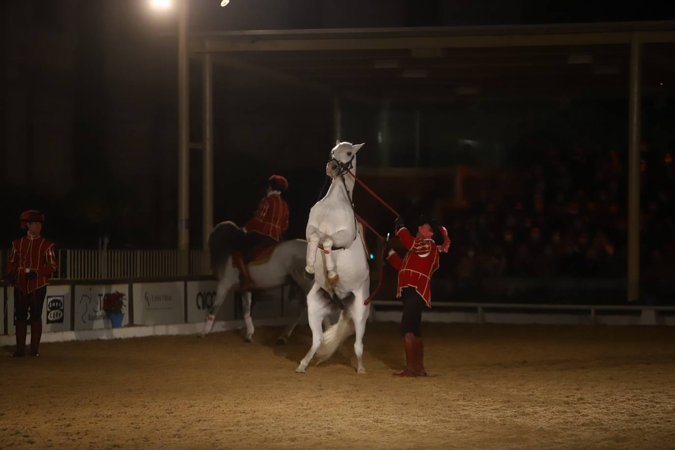 El espectáculo de Cadre Noir en Caballerizas Reales, en imágenes