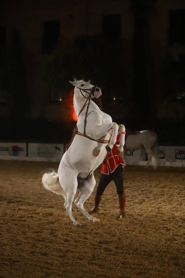 El espectáculo de Cadre Noir en Caballerizas Reales, en imágenes