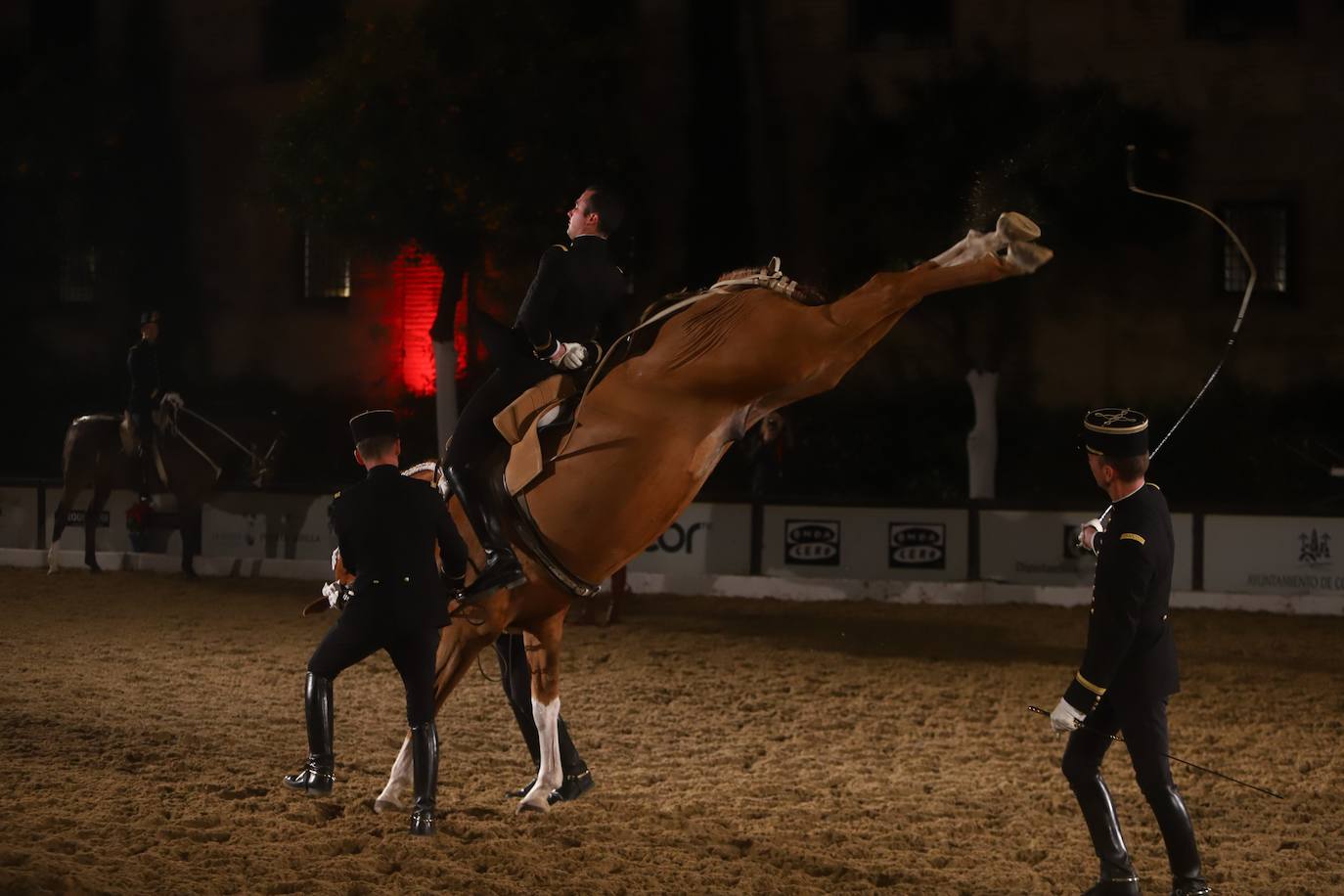 El espectáculo de Cadre Noir en Caballerizas Reales, en imágenes