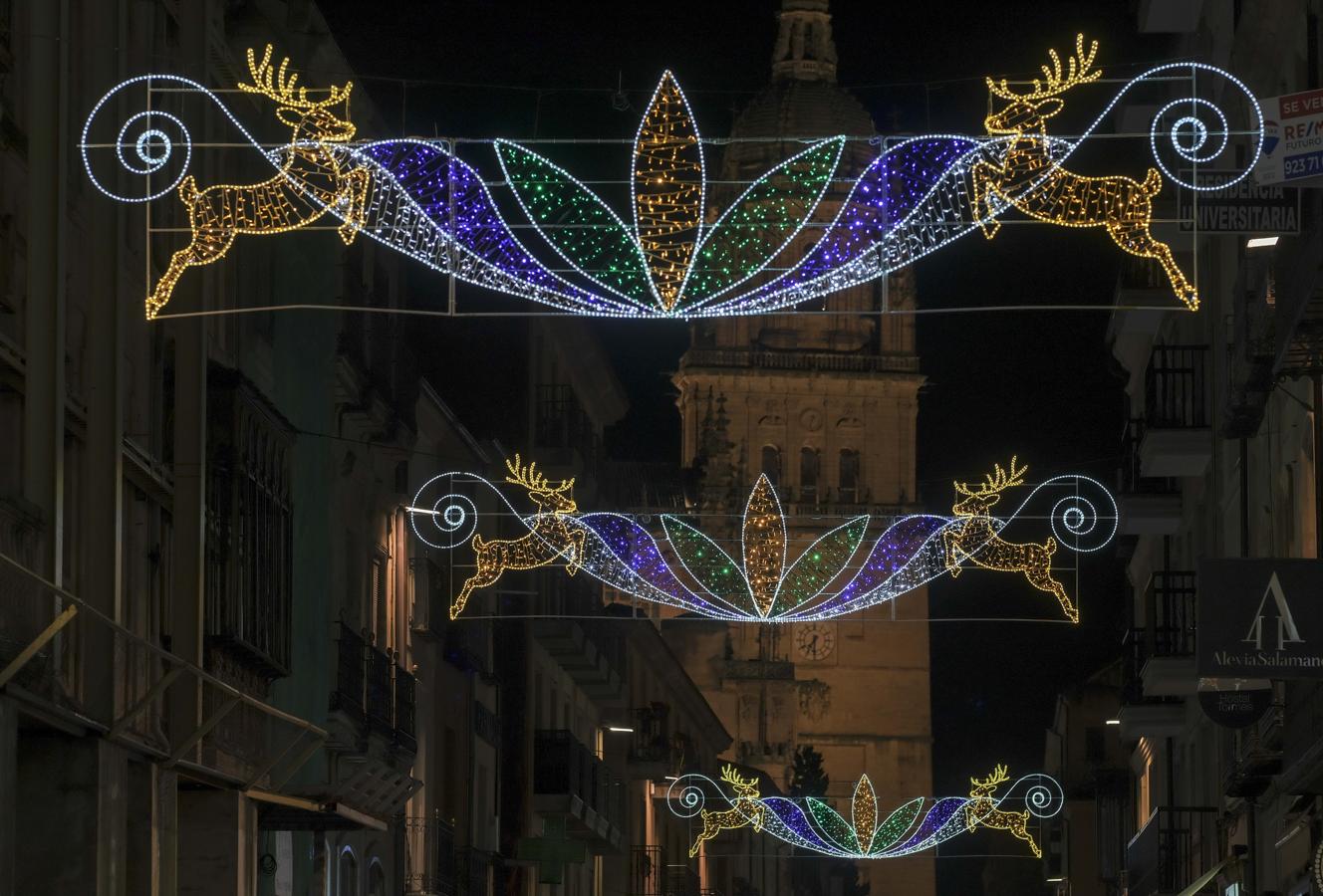 Así luce la Navidad en Castilla y León